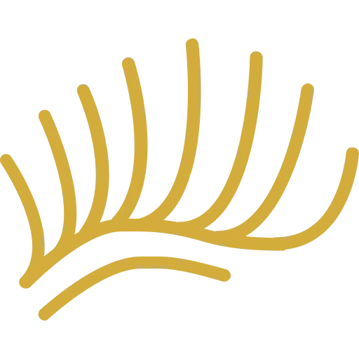 symbol