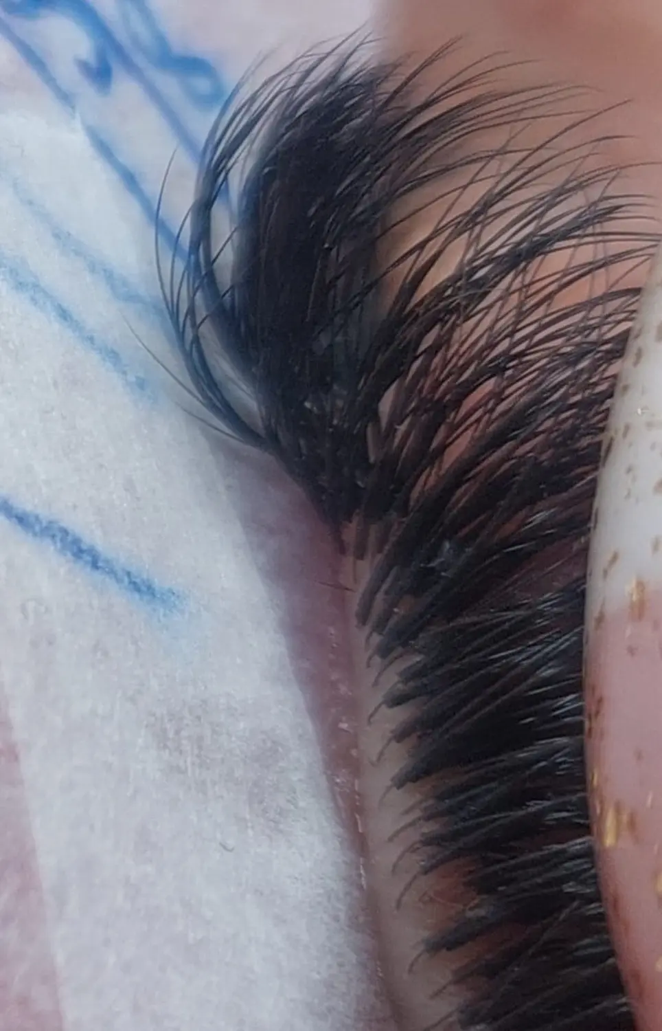 Lashes von Sar Cosmetics