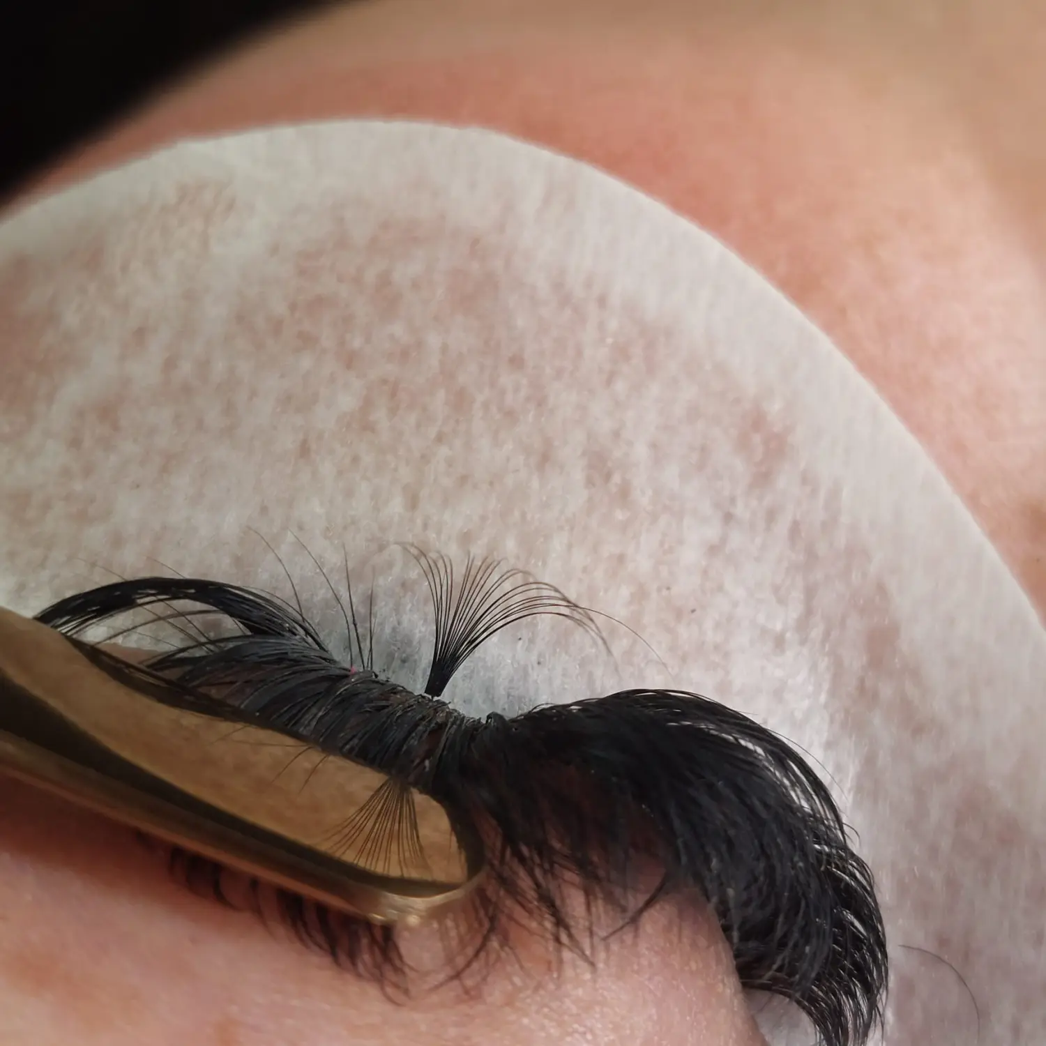 Lashes von Sar Cosmetics